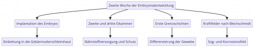 Embryologie